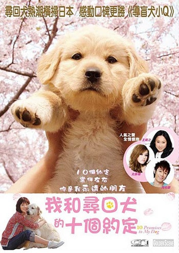 10 Promises to My Dog (2008) 10 ข้อสัญญาน้องหมาของฉัน ดูหนังออนไลน์ HD