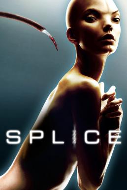 Splice (2009) สัตว์สาวกลายพันธุ์ล่าสยองโลก ดูหนังออนไลน์ HD