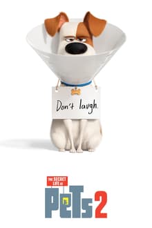 The Secret Life of Pets 2 (2019) เรื่องลับแก๊งขนฟู 2 ดูหนังออนไลน์ HD