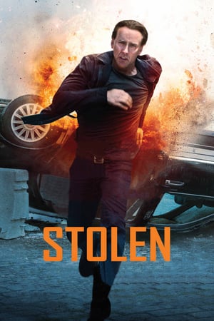 Stolen (2012) คนโคตรระห่ำ ดูหนังออนไลน์ HD