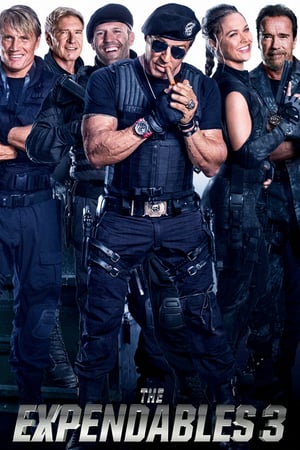 The Expendables 3 (2014) โคตรมหากาฬ ทีมเอ็กซ์เพ็นดิเบิลส์ 3 ดูหนังออนไลน์ HD