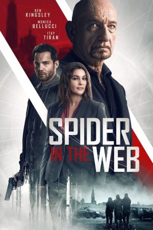 Spider in the Web (2019) สไปเดอร์ อิน เดอะเว็บ ดูหนังออนไลน์ HD