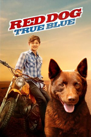 Red Dog: True Blue (2016) เพื่อนซี้หัวใจหยุดโลก 2 ดูหนังออนไลน์ HD