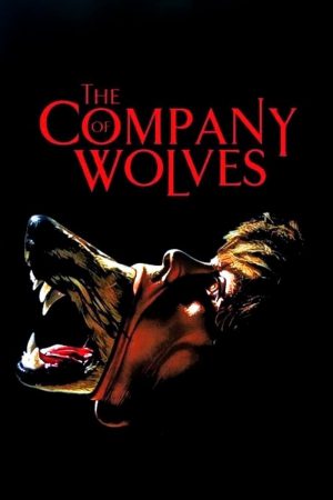 The Company of Wolves (1984) เขย่าขวัญสาวน้อยหมวกแดง ดูหนังออนไลน์ HD