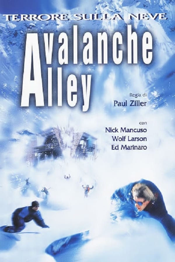 Avalanche Alley (2001) มหันตภัยสุดขอบโลก ดูหนังออนไลน์ HD