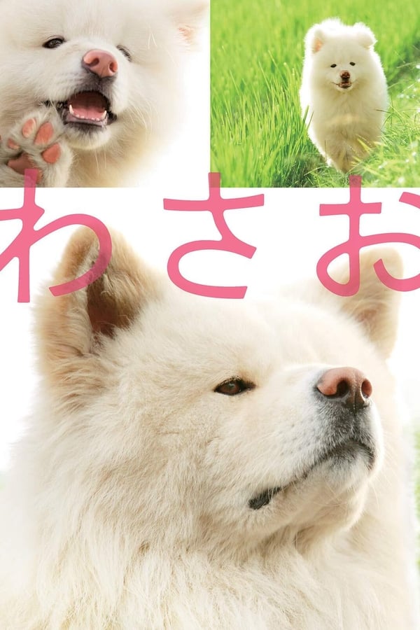 Wasao (2011) วาซาโอะ ดูหนังออนไลน์ HD