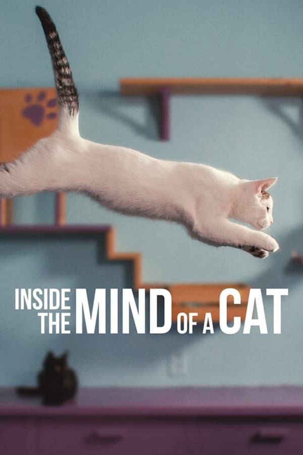 Inside the Mind of a Cat (2022) คิดแบบแมวๆ ดูหนังออนไลน์ HD