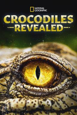 Crocodiles Revealed (2022) ดูหนังออนไลน์ HD