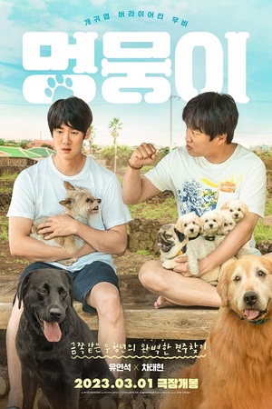 My Heart Puppy (2023) ดูหนังออนไลน์ HD