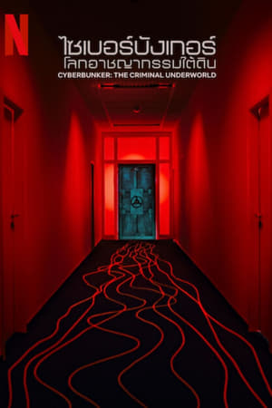 Cyberbunker The Criminal Underworld (2023) ไซเบอร์บังเกอร์ โลกอาชญากรรมใต้ดิน ดูหนังออนไลน์ HD