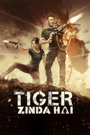 Tiger Zinda Hai (2017) ไทเกอร์ซินดาไฮ ดูหนังออนไลน์ HD