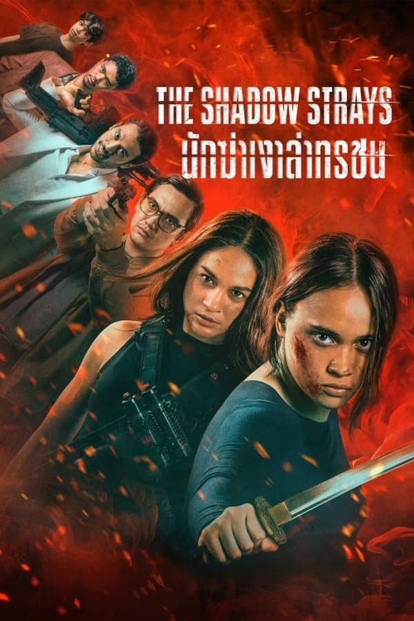 The Shadow Strays (2024) นักฆ่าเงาล่าทรชน ดูหนังออนไลน์ HD